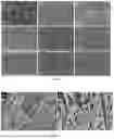 Fig. 17 - ADVANCED MULTIFUNCTIONAL BATTERY SEPARATOR MEMBRANES FOR NOVEL LIQUID ELECTROLYTES AND METHODS OF USE THEREOF