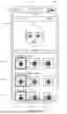 Fig. 71 - AVATAR INTEGRATION WITH MULTIPLE APPLICATIONS