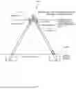 Fig. 07 - Trellising system constituting integrated dual layer structural units for growing crops