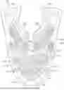 Fig. 01 - Upper for article of footwear with forefoot airflow features