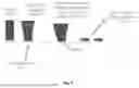 Fig. 09 - APPARATUS, SYSTEM AND METHOD FOR DIRECT BONDING OF ORTHODONTIC BRACKETS