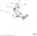 Fig. 08 - METHODS FOR AUTOMATED TOOTH BRUSHING