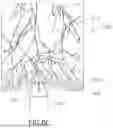 Fig. 09 - REFLEXOLOGY DEVICE
