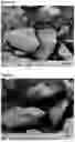 Fig. 07 - PROCESS FOR CONTINUOUS HOT MELT GRANULATION OF LOW SOLUBLE                PHARMACEUTICALS