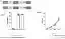 Fig. 02 - CHIMERIC ANTIGEN RECEPTORS TO TARGET CD5-POSITIVE CANCERS