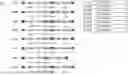 Fig. 06 - CHIMERIC ANTIGEN RECEPTORS TO TARGET CD5-POSITIVE CANCERS