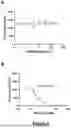 Fig. 04 - COMPOSITION COMPRISING A EUKARYOTIC MICROALGAE OR AN EXTRACT THEREOF FOR USE IN THE TREATMENT OF A VIRAL DISEASE