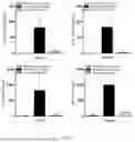 Fig. 08 - MEDICATION FOR TREATING LUNG INJURY