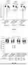 Fig. 02 - COMPOSITIONS, SYSTEMS, AND METHODS FOR TREATING OR REDUCING HYPOXIA-ISCHEMIA INDUCED BRAIN DAMAGE AND NEUROBEHAVIORAL DYSFUNCTION IN NEONATES