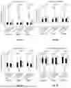Fig. 04 - COMPOSITIONS, SYSTEMS, AND METHODS FOR TREATING OR REDUCING HYPOXIA-ISCHEMIA INDUCED BRAIN DAMAGE AND NEUROBEHAVIORAL DYSFUNCTION IN NEONATES