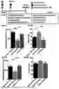 Fig. 02 - Heparin-Associated Polypeptides and Uses Thereof