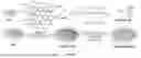 Fig. 02 - GRAPHENE OXIDE NANOPARTICLES AND METHODS OF USE FOR STIMULATING IMMUNE RESPONSES