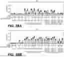 Fig. 41 - SUBSTITUTION OF NUCLEOTIDE BASES IN SELF-AMPLIFYING MESSENGER RIBONUCLEIC ACIDS