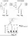 Fig. 35 - CHIMERIC RECEPTORS TARGETING MUC16 AND USES THEREOF