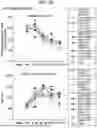Fig. 71 - MULTIMERIC T-CELL MODULATORY POLYPEPTIDES AND METHODS OF USE THEREOF