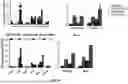 Fig. 48 - Targeted Therapeutic Lipid Nanoparticles and Methods of Use