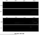 Fig. 67 - Targeted Therapeutic Lipid Nanoparticles and Methods of Use