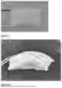 Fig. 02 - COMPOSITE DECELLULARIZED MATRIX MEMBRANE AND USE THEREOF