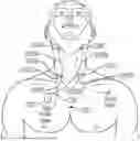 Fig. 01 - MEDICAL STIMULATOR AND METHOD OF STIMULATION