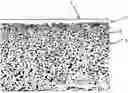 Fig. 01 - SEPARATION MEMBRANE AND MANUFACTURING METHOD THEREFOR