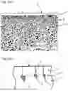 Fig. 02 - SEPARATION MEMBRANE AND MANUFACTURING METHOD THEREFOR