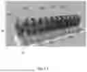 Fig. 04 - Continuum arm robot joint