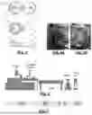 Fig. 02 - AN INJECTION MOLDING MATERIAL FOR PRODUCING MOLDED ARTICLES