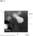 Fig. 02 - CERAMIC SINTERED BODY AND CERAMIC POWDER