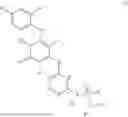 Fig. 02 - MEK INHIBITORS AND USES THEREOF