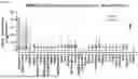 Fig. 02 - MAGEC2 IMMUNOGENIC PEPTIDES, BINDING PROTEINS RECOGNIZING MAGEC2 IMMUNOGENIC PEPTIDES, AND USES THEREOF