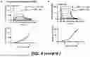 Fig. 07 - COMPOSITIONS AND METHODS OF TREATING PATHOGENIC INFECTIONS BY USING FUSION PROTEINS
