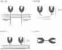 Fig. 02 - TIGIT- AND LIGHT-BASED CHIMERIC PROTEINS