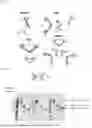 Fig. 37 - TIGIT- AND LIGHT-BASED CHIMERIC PROTEINS