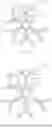 Fig. 06 - PEPTIDE-MHC-IMMUNOGLOBULIN MULTIMERS AND METHODS OF USE THEREOF