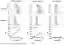 Fig. 09 - mRNA display antibody library and methods