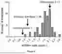 Fig. 07 - IL-11 ANTIBODIES