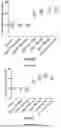 Fig. 09 - IL-11 ANTIBODIES