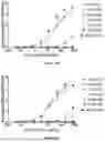 Fig. 12 - IL-11 ANTIBODIES