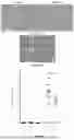 Fig. 37 - IL-11 ANTIBODIES