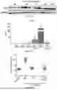 Fig. 38 - IL-11 ANTIBODIES