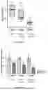 Fig. 42 - IL-11 ANTIBODIES