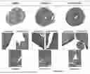Fig. 44 - IL-11 ANTIBODIES