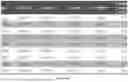 Fig. 52 - IL-11 ANTIBODIES