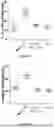 Fig. 62 - IL-11 ANTIBODIES