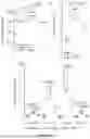 Fig. 64 - IL-11 ANTIBODIES