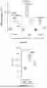 Fig. 65 - IL-11 ANTIBODIES