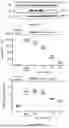 Fig. 66 - IL-11 ANTIBODIES