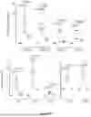 Fig. 69 - IL-11 ANTIBODIES