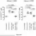 Fig. 74 - IL-11 ANTIBODIES