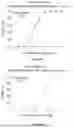 Fig. 85 - IL-11 ANTIBODIES